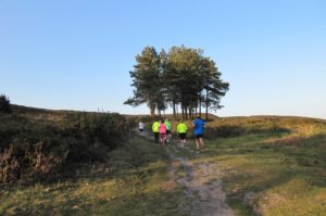 Poole Joggers on Canford Heath