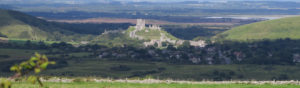The Beast in Corfe Castle, Dorset, Trail Race